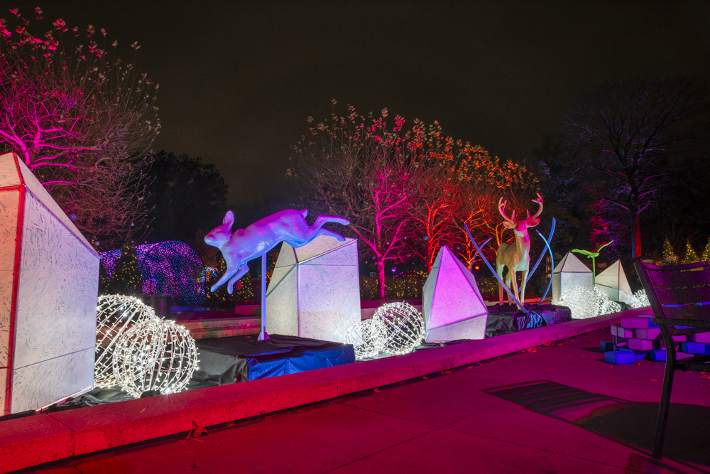 Frost – Cleveland Botanical Garden